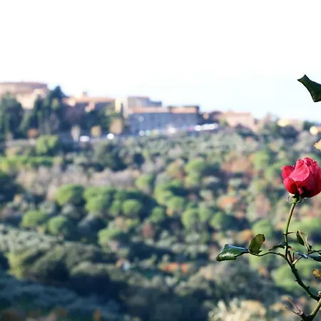 Bellavista La Terrazza شقة *